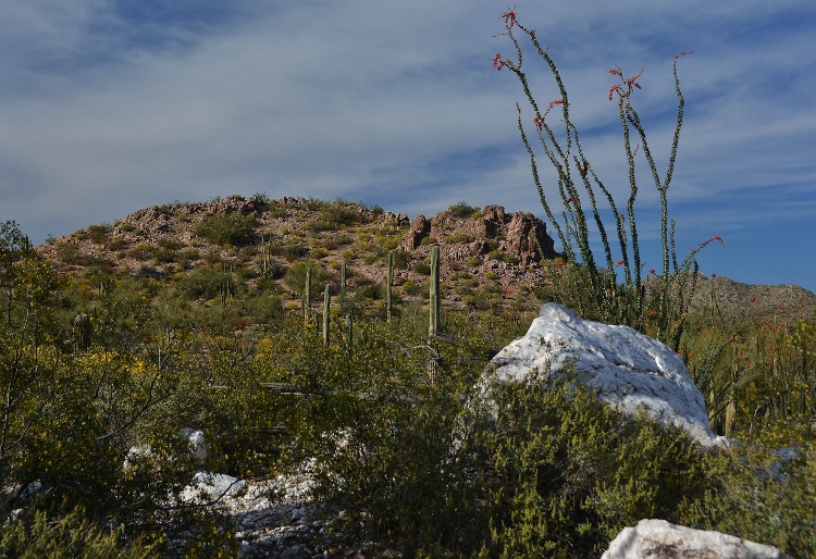 Senita Basin